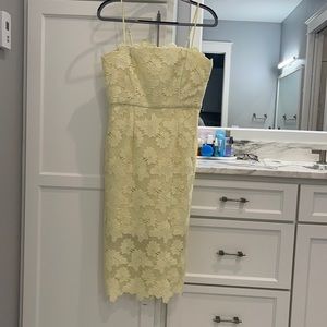 Bardot sunshine lace dress